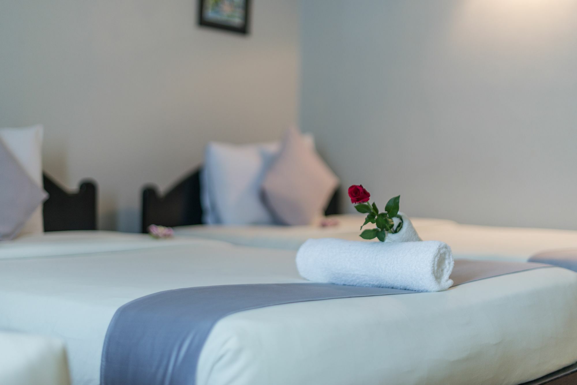 อังกอร์ พาโนรามิค บูติก โฮเทล Hotel เสียมราฐ ภายนอก รูปภาพ